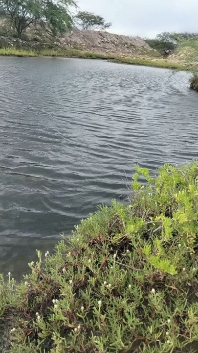 rapaz aqui e bom demais