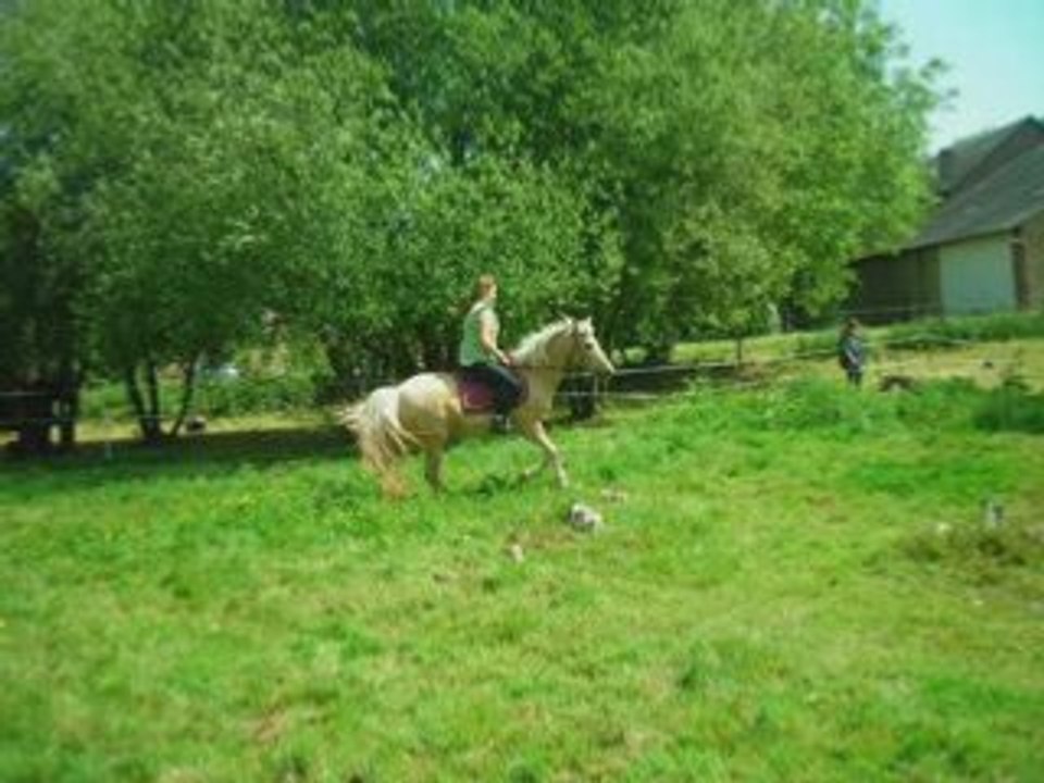 Les chevaux , un passion , ma viee (L)