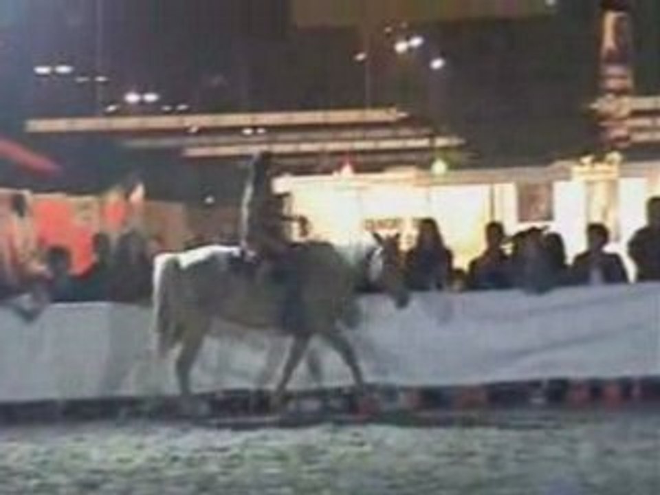 pub dvd davy lacroix