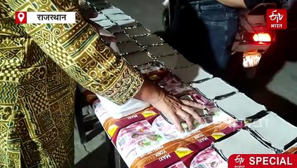 अलवर में मानवता की मिसाल बनी ‘फीडिंग पाव्स’ संस्था: रोजाना 300 स्ट्रीट डॉग्स को खिला रही पौष्टिक भोजन, बदल रही लोगों की सोच