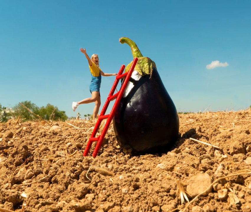 Libérez le photographe qui sommeille en vous : Conseils pour des photos créatives !