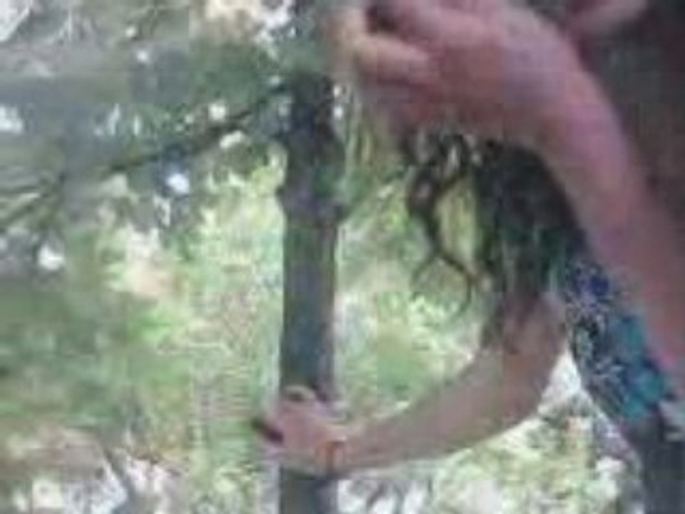 VID023