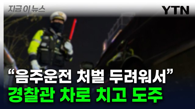 음주 단속 경찰관 치고 도망간 남성... 경찰, 허리와 어깨 크게 다쳐 [지금이뉴스] / YTN