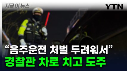 음주 단속 경찰관 치고 도망간 남성..."경찰, 허리와 어깨 크게 다쳐" [지금이뉴스] / YTN