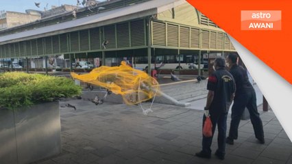 MBPP minta orang ramai jangan beri makan burung