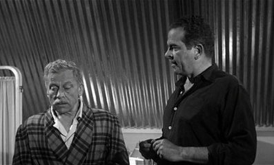 The Amazing Transparent Man 1960