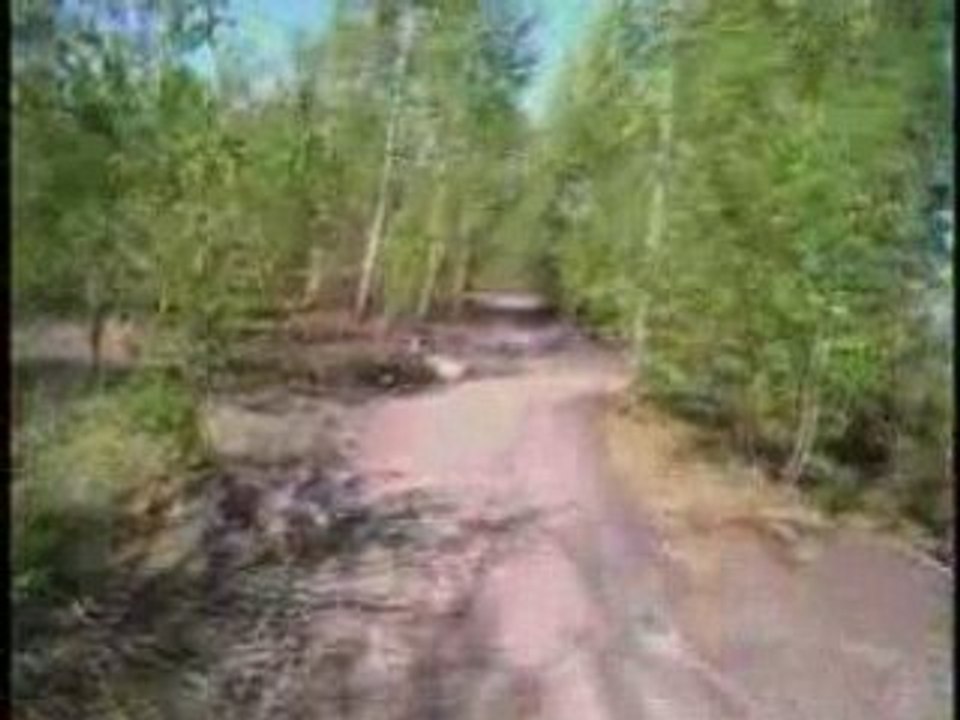 Raismes La forestiere