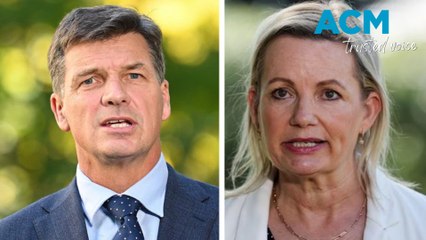 Who is vying to be the next federal Liberal leader