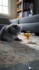 🎉 Cute Cat and Kosmos 482 Adventure 🎈 #cat #kosmos482 #funnycats #animallovers #catworld #mycat