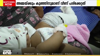 കൊല്ലത്ത് തെരുവുനായ്ക്കളുടെ കടിയേൽക്കാതിരിക്കാൻ ഓടിയ അമ്മക്കും കുഞ്ഞിനും വീണ് പരിക്കേറ്റു