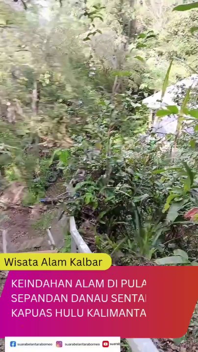 Wisata Alam di Pulau Sepandan Danau Sentarum, Kabupaten Kapuas Hulu