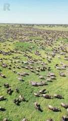 Places On Earth That Don't Feel Real 😱😳#travel #explore #adventure #shorts_4