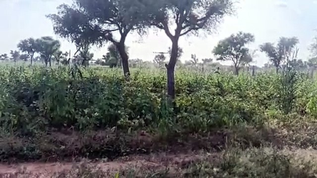 सोलर पम्प से बदल रही किसानों की तकदीर