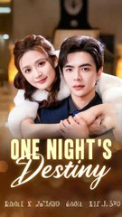 one night's destiny chinese drama - PulseReels