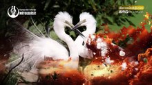 BAKTERİLERİ ALLAH YARATMADI MI