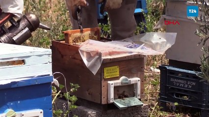 Osmaniyeli arıcılardan küresel iklim değişikliğine karşı teknolojik önlem