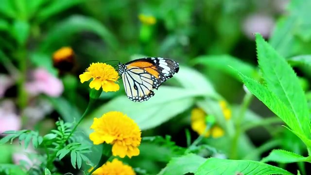 dyi mini tractor house making with bricks science project_ _ rc tractor _ @topminigear