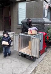 This kid drives a mini truck!.hd