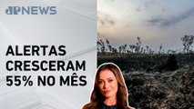 Abril tem alta no desmatamento da Amazônia; Patrícia Costa analisa