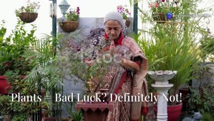 Vastu Myths Busted_ Truth vs. Superstition