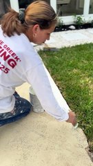 Expert Painting Company Palm Beach County | John "The Greek" Painting