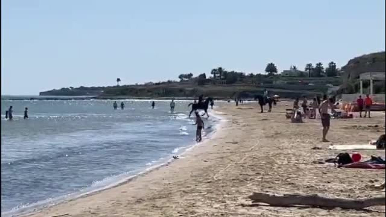 Trani, inizio stagione balneare tra cavalli sul...