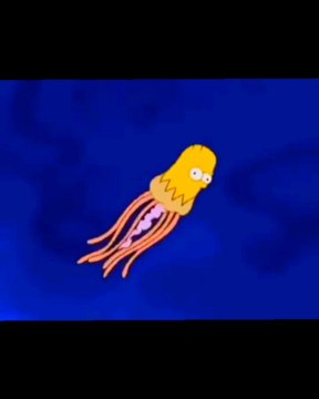 #simpsons #humanevolution #sn2sg #cartoon #sunnight #evolution #sunnightmusic #funny #sunnightpop #sunnightblues #sunnightintheblues #retro #vintage #biology #historytime #human #animals #nature #bigbang #2d #illu #illustration #survival #animated #anim