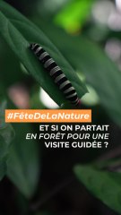 La Nature à l'honneur