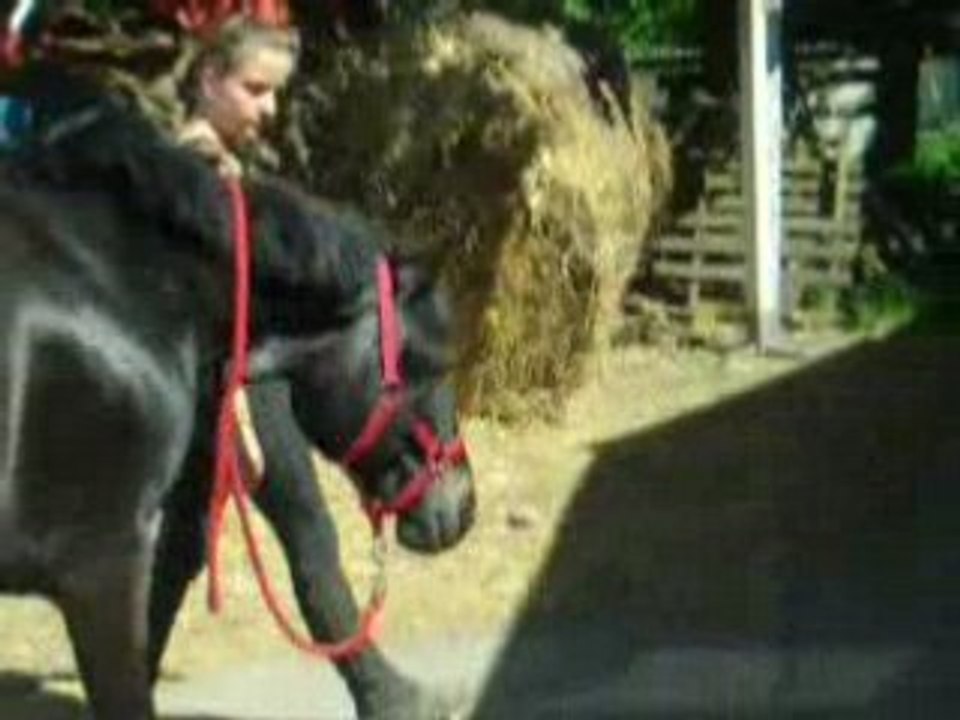 Gipsy