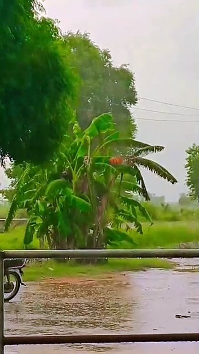 VILLAGE LIFE VLOG