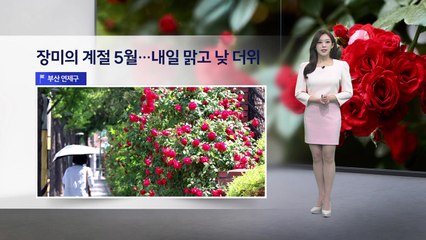 [이슈날씨] 내일 초여름 날씨… 낮 기온 25도 안팎 / YTN