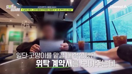 ※실제 상황※ 고양이들을 반려동물 호텔에 유기한 대상자를 만났다! 그리고 사건의 전말은?!