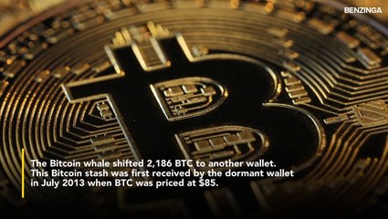 Decade-Old Bitcoin Whale Emerges, Transfers $207.51 Million BTC With Nearly 112,000% Profit