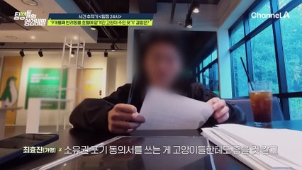 "대상자가 애들을 데려갈 생각은 있나요..?" 9개월째 반려동물 호텔에 맡겨진 고양이 주인 찾기의 결말은!?