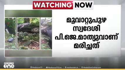 വെളിയന്നൂരിൽ നിയന്ത്രണം വിട്ട കാറിടിച്ച് ലോട്ടറി തൊഴിലാളി മരിച്ചു