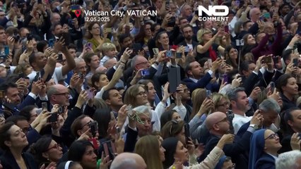 Papst Leo fordert Freilassung inhaftierter Journalisten