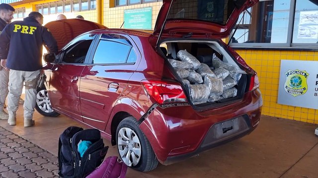 PRF intercepta 122 kg de maconha na BR-277, em Cascavel; Casal é detido