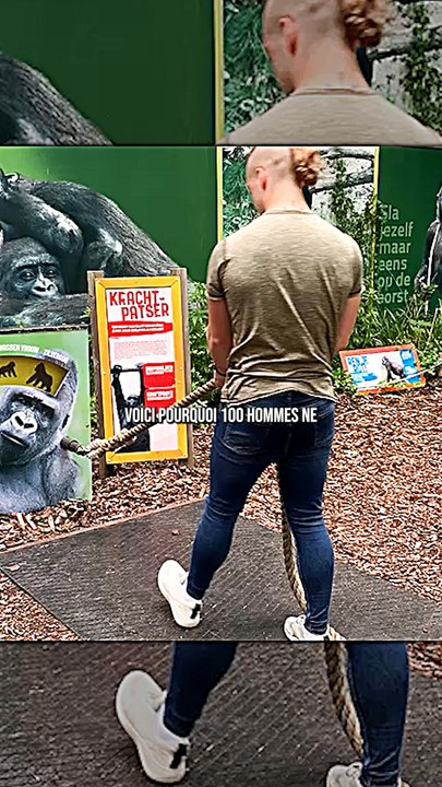 La vérité sur 100 hommes contre 1 gorille 🥲