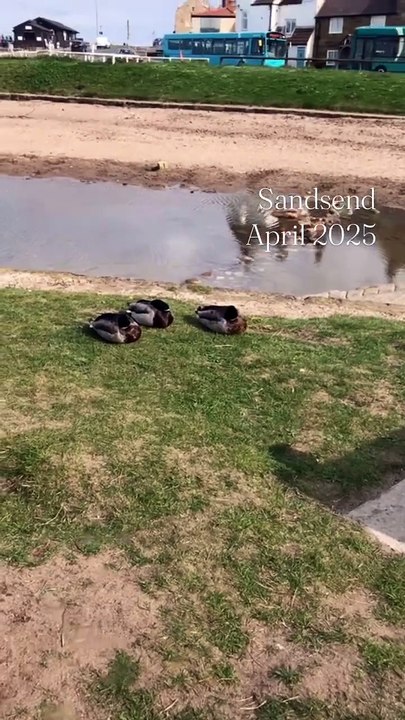 Sandsend April 2025 Folge 01