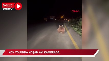 Köy yolunda koşan ayı kamerada