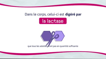 Discover the Stunning Motion Design of Courmayeur ❄️