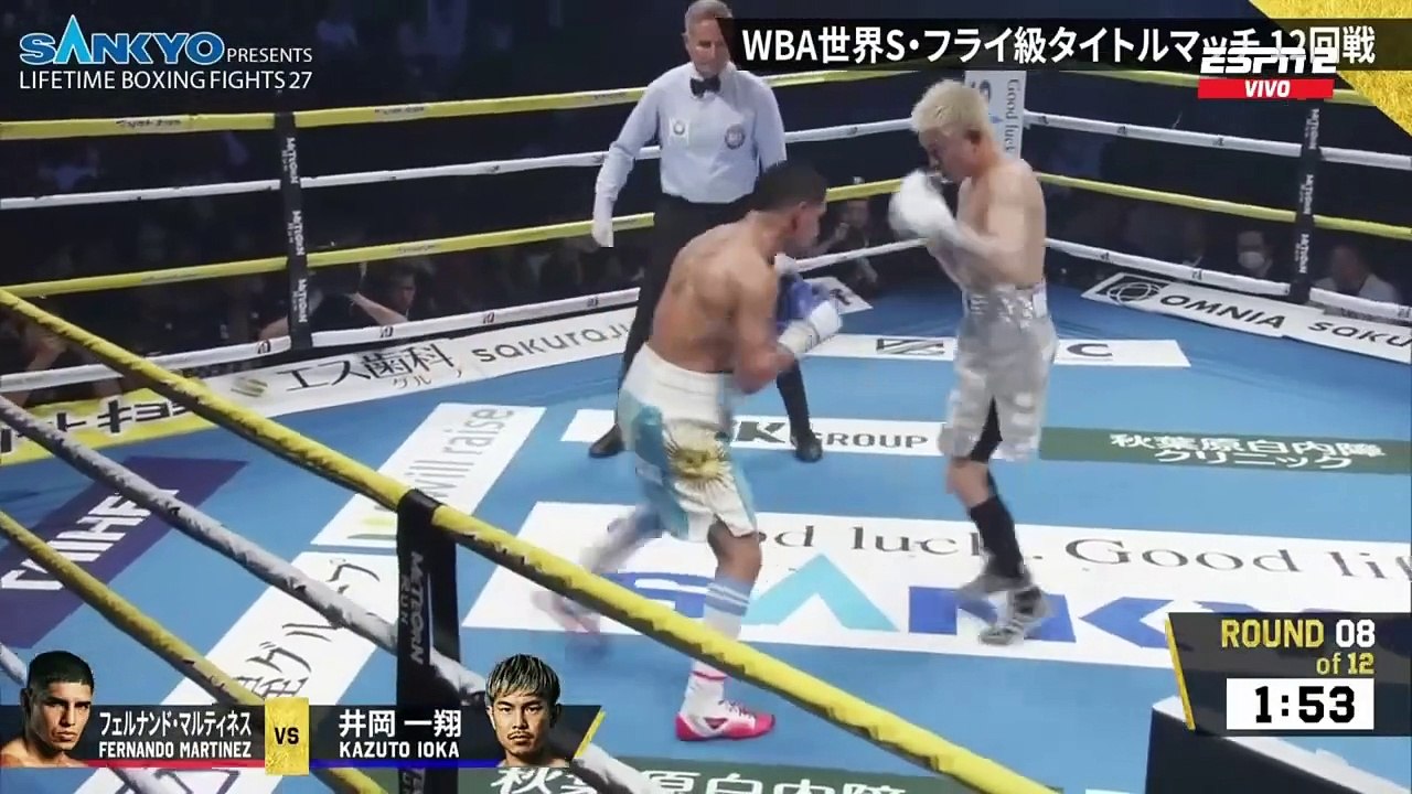 FERNANDO MARTÍNEZ VS KAZUTO IOKA | RESUMEN PELEA