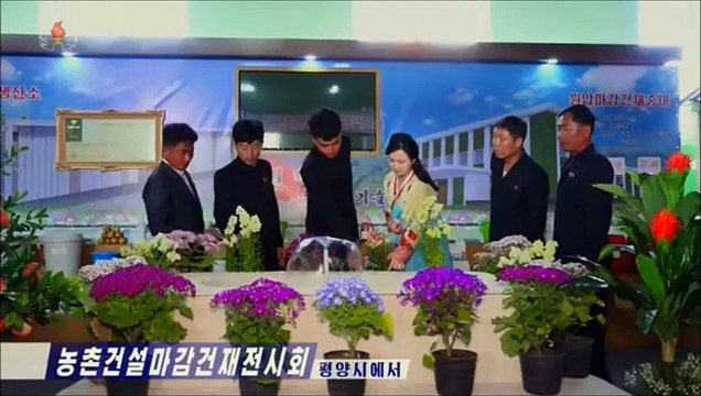 Exposição de Materiais de Construção de Acabamento do Campo