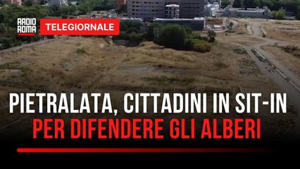 Pietralata, alberi e stadio scatenano la protesta