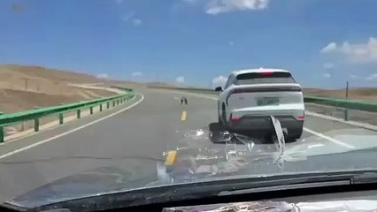 VIDEO: ¡En duelo! Una batalla de marmotas detiene el tráfico en China