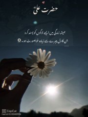 lvtemp_e45efb60-e195-48ef-8784-d24e24b359787