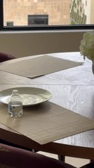 Dog Stands Still on Dining Table After Owner Catches Her Stealing Burrito