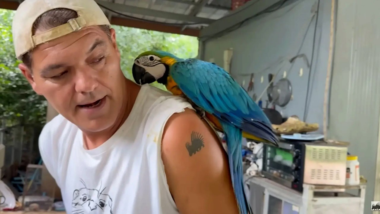 El audio completo de Frank Cuesta hablando con la mayor traficante de animales de Tailandia