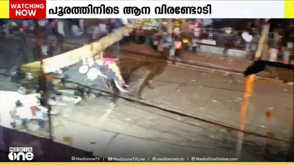 തൃശൂർ പൂരത്തിനിടെ ആന ഓടിയതിൽ ദുരൂഹത ആരോപിച്ച് പാറമേക്കാവ് ദേവസ്വം; 'കണ്ണിലേക്ക് ലേസർ അടിച്ചു'