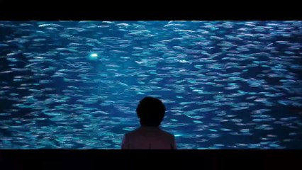 Véget Ért Az Álom (DreamFlow cover)